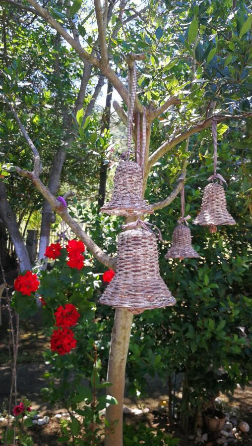 Garden Bungalow Valentina สตาวรอส ภายนอก รูปภาพ