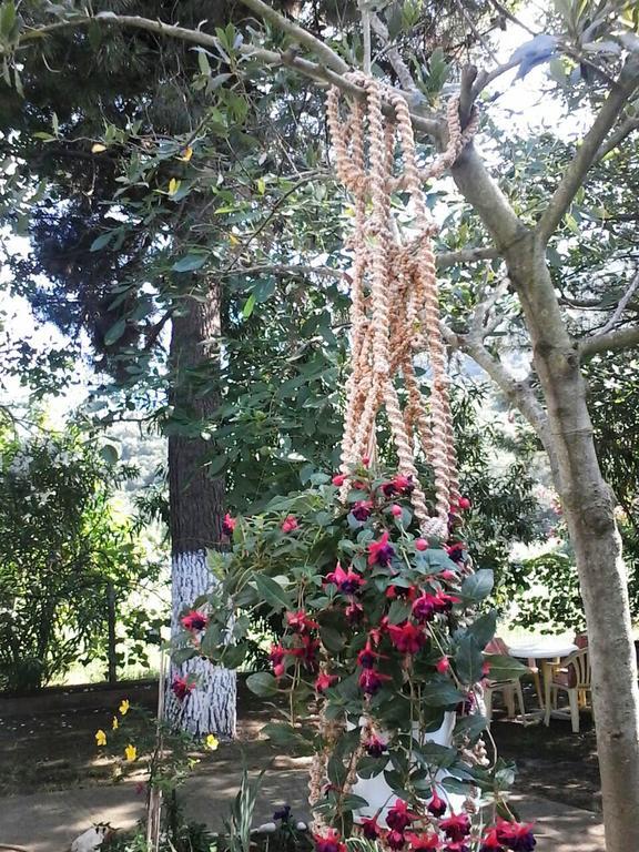 Garden Bungalow Valentina สตาวรอส ภายนอก รูปภาพ