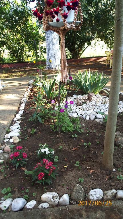 Garden Bungalow Valentina สตาวรอส ภายนอก รูปภาพ